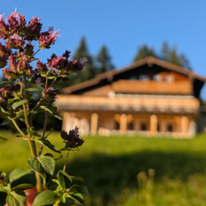 Alm Ferienhaus Berchtesgaden