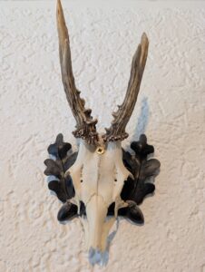 uriges Ferienhaus Alm Berchtesgaden